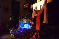  DSC_1150-Copy.jpg 