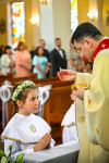  DSC_1599-Copy.jpg 