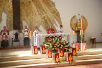  DSC_6631-Copy.jpg 