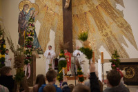  DSC_8518-Copy.jpg 