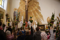  DSC_8517-Copy.jpg 