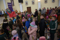  DSC_8516-Copy.jpg 