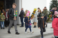  DSC_8543-Copy.jpg 