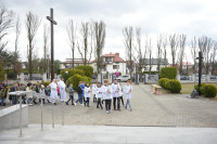  DSC_8584-Copy.jpg 