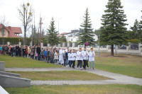  DSC_8560-Copy.jpg 
