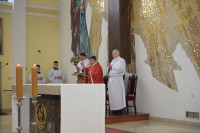  DSC_8621-Copy.jpg 