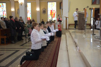  DSC_8618-Copy.jpg 