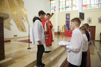  DSC_8631-Copy.jpg 