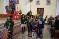 DSC_8664-Copy.jpg 
