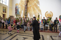  DSC_8669-Copy.jpg 