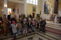  DSC_8667-Copy.jpg 