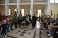  DSC_8680-Copy.jpg 