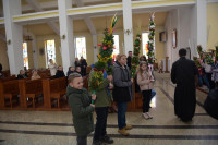  DSC_8679-Copy.jpg 