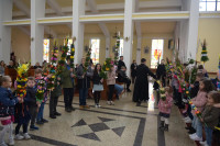  DSC_8681-Copy.jpg 