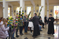  DSC_8689-Copy.jpg 