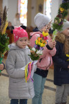  DSC_8700-Copy.jpg 