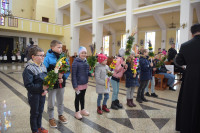  DSC_8696-Copy.jpg 