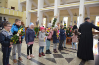  DSC_8697-Copy.jpg 