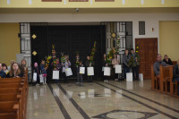  DSC_8703-Copy.jpg 