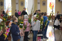  DSC_8702-Copy.jpg 