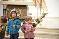 DSC_8710-Copy.jpg 
