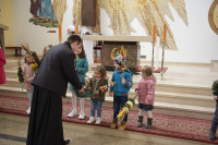  DSC_8714-Copy.jpg 