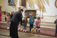  DSC_8715-Copy.jpg 