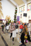  DSC_8732-Copy.jpg 