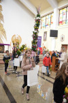  DSC_8733-Copy.jpg 