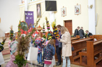  DSC_8735-Copy.jpg 